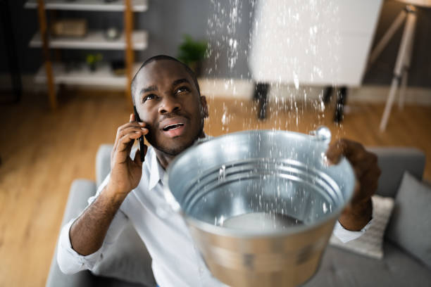 Best Mold removal after water damage  in Genoa, IL