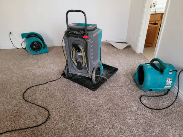 Best Carpet water damage restoration  in Genoa, IL