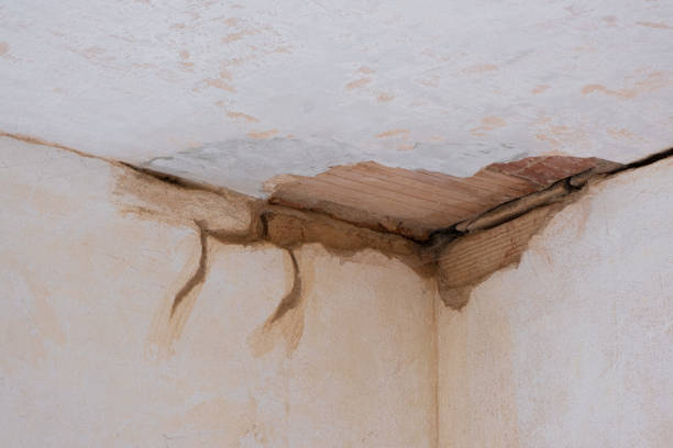Best Flood restoration services  in Genoa, IL
