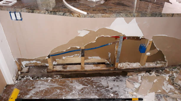 Best Professional water damage repair  in Genoa, IL