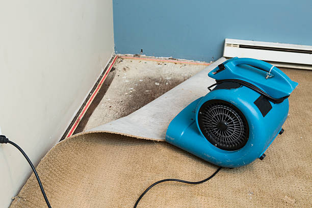 Best Water damage restoration near me  in Genoa, IL