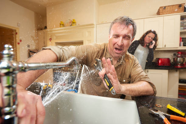 Best Flood damage cleanup  in Genoa, IL